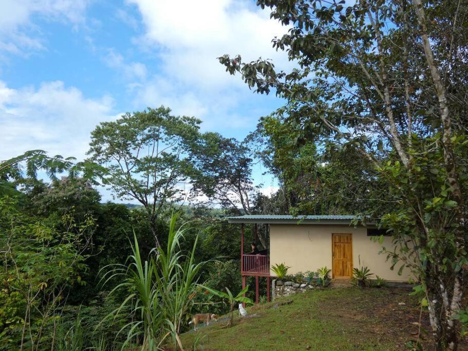 Tapiru'S House - Bahia Drake Διαμέρισμα Drakes Bay Εξωτερικό φωτογραφία