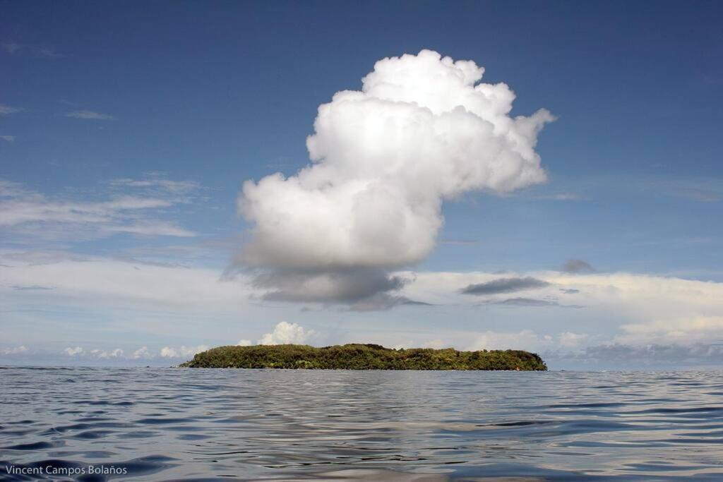 Tapiru'S House - Bahia Drake Διαμέρισμα Drakes Bay Εξωτερικό φωτογραφία