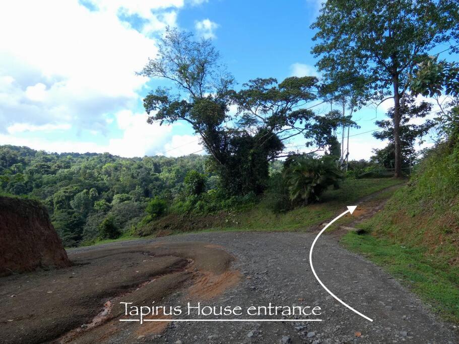 Tapiru'S House - Bahia Drake Διαμέρισμα Drakes Bay Εξωτερικό φωτογραφία