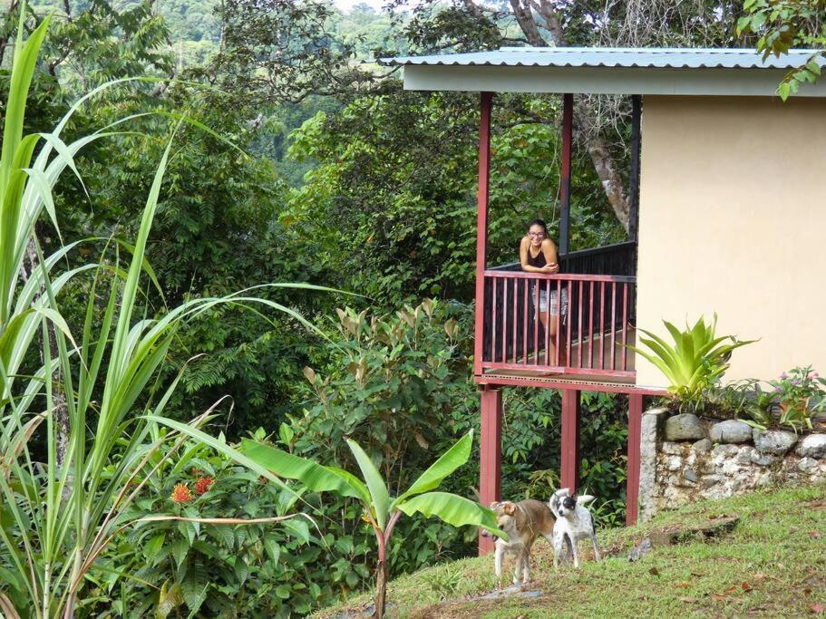 Tapiru'S House - Bahia Drake Διαμέρισμα Drakes Bay Εξωτερικό φωτογραφία