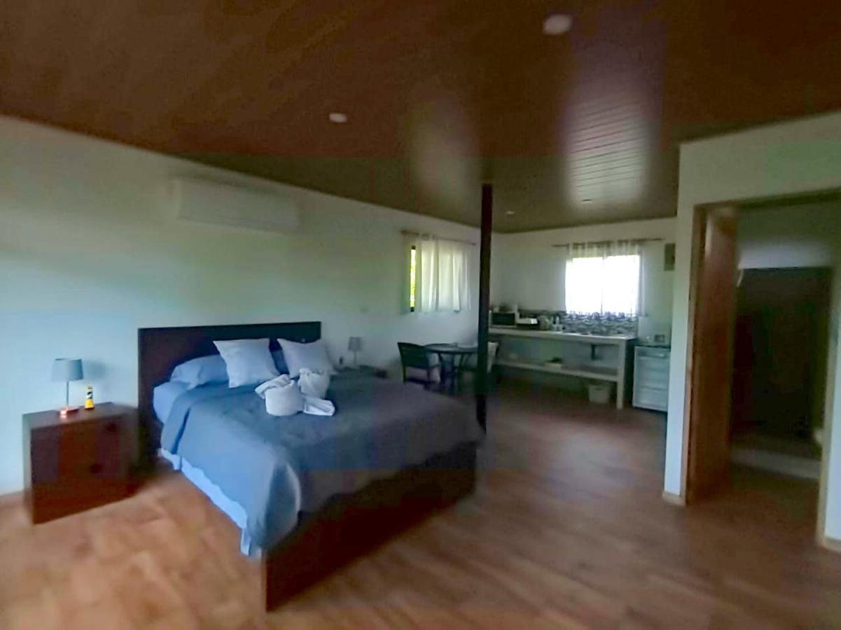 Tapiru'S House - Bahia Drake Διαμέρισμα Drakes Bay Εξωτερικό φωτογραφία